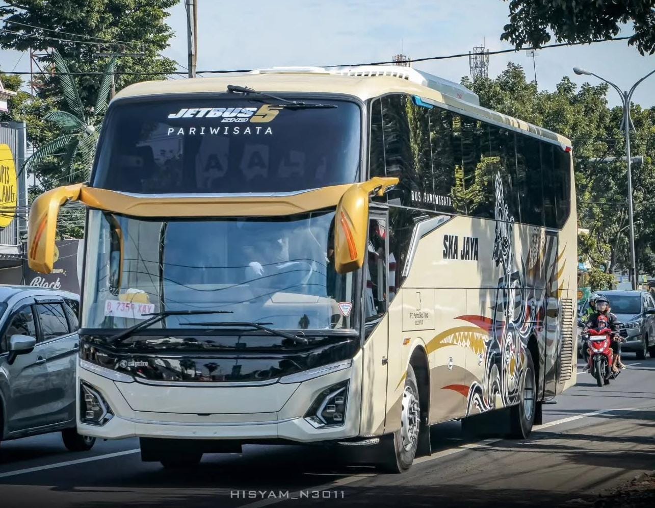 Big Bus 50 Seat