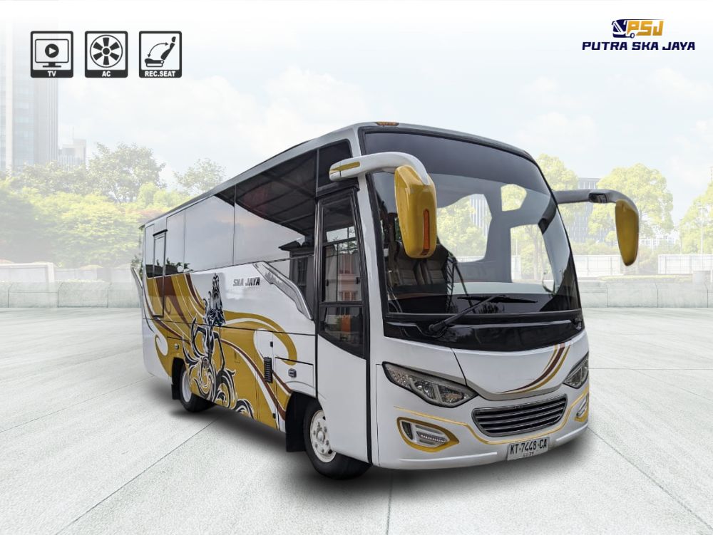 Bus AC 33 Seat